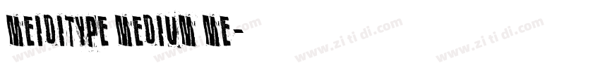 MEIDITYPE MEDIUM ME字体转换